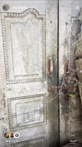 19th century Thai Temple Doors
