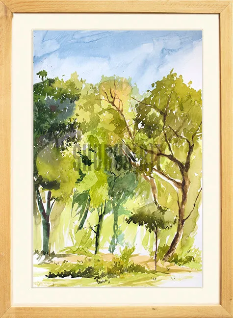 Nature