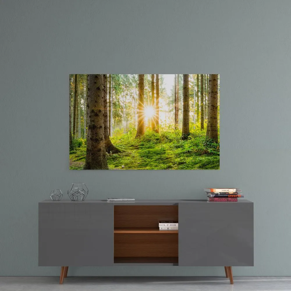 The Forest