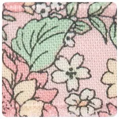 Wild Kind Penny Hair Clips - Rose