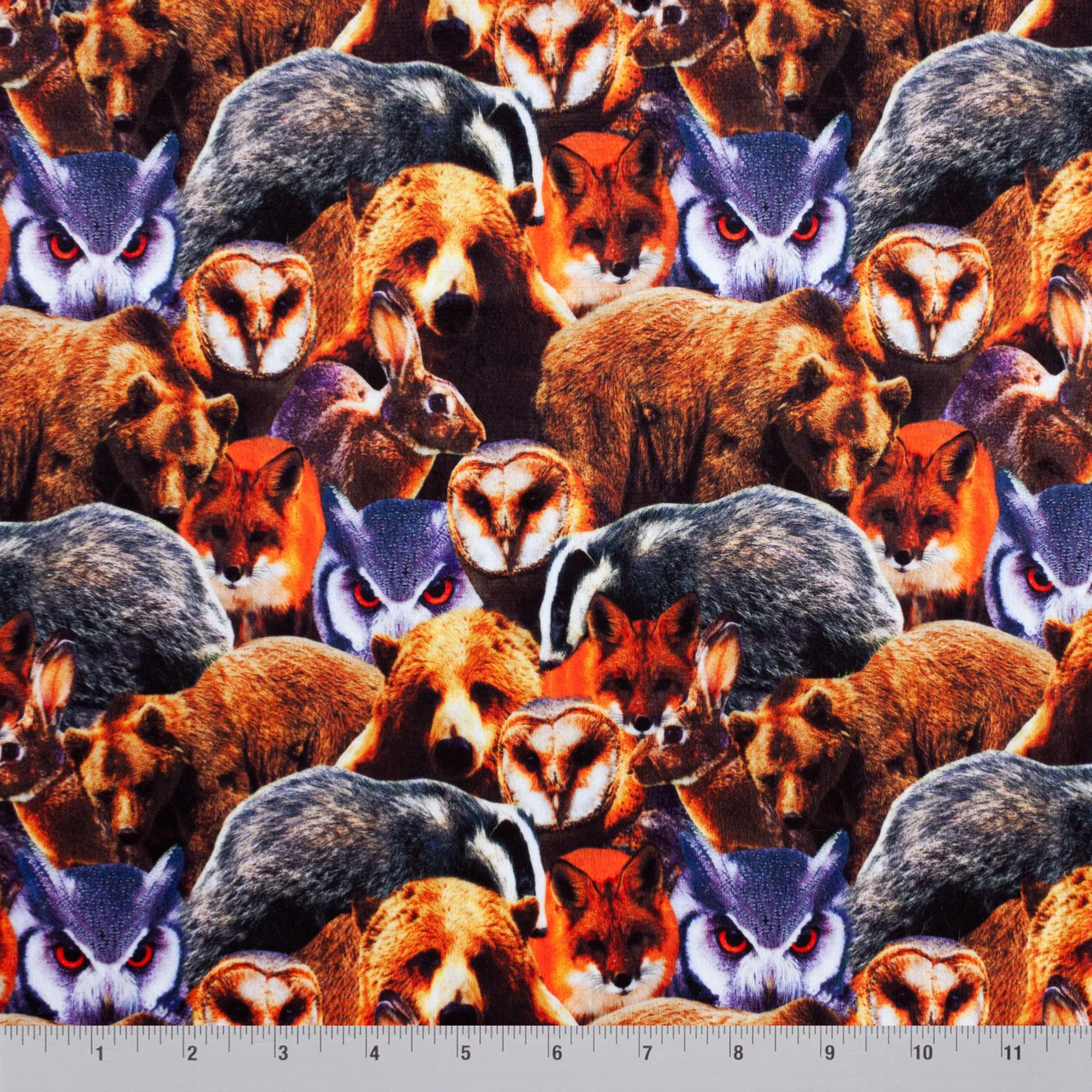 Woodland Animals | Woodland Animals